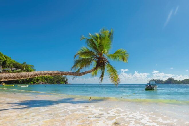 Cancun: Glass-Bottom Boat Tour - Preparation and Important Information