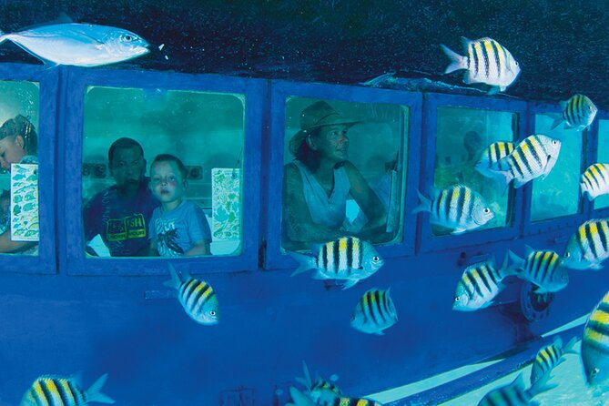 Cancun Glass-Bottom Boat—Underwater Museum and Punta Nizuc - Important Information and Tips for the Experience