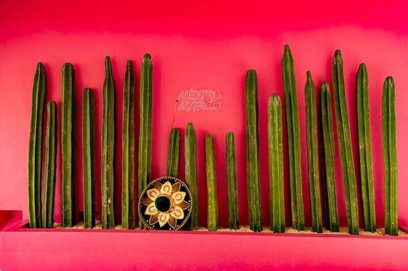 Cancun Guided Sightseeing, Shopping and Tasting Tour - Authentic Insights from Guests