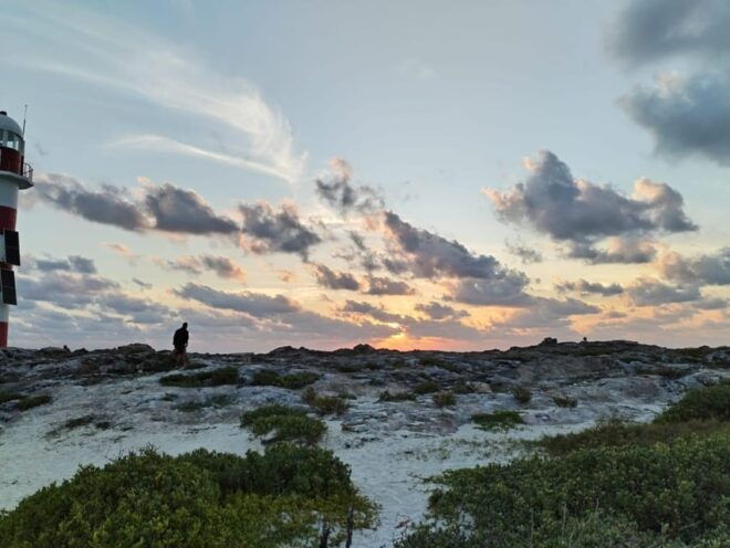 Cancun: Guided Walking Tour at the Punta Cancun Lighthouse - Guides Role and Expertise