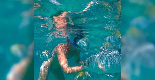 Cancun: Half-Day Private Catamaran for 35 Guests - Frequently Asked Questions