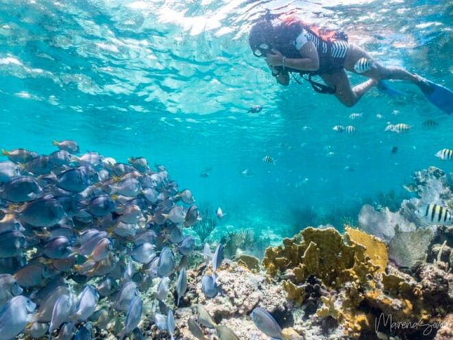 Cancun: Half Day Private Catamaran to Isla Mujeres - Catamaran Details