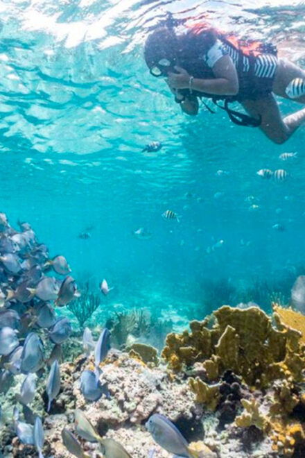 Cancun: Half Day Private Catamaran to Isla Mujeres - Snorkeling at El Meco Coral Reef