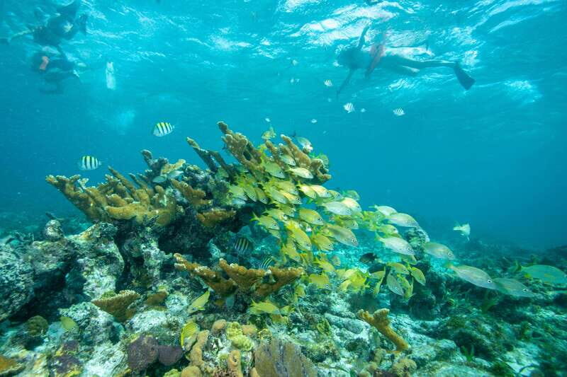 Cancun: Half Day Private Catamaran with Snorkeling. 25 guest - Final Thoughts