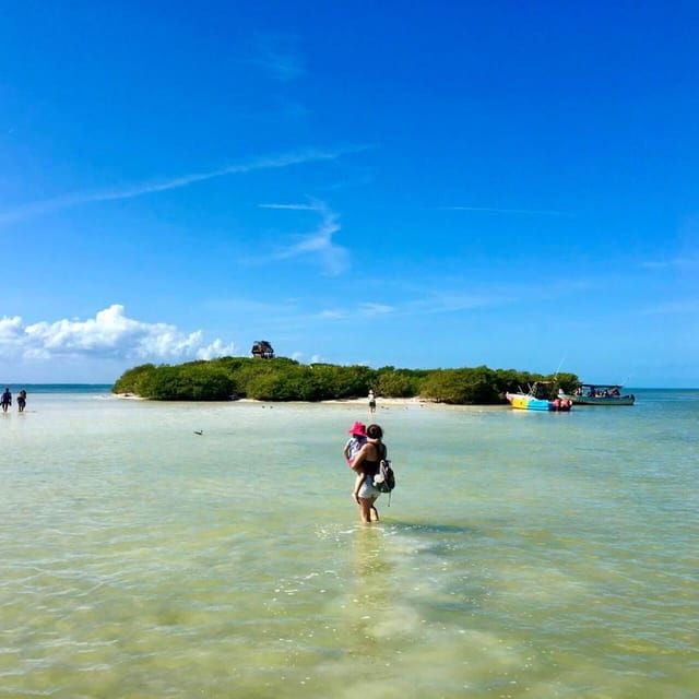 Cancun: Holbox Ferry + Punta Mosquito - Good To Know
