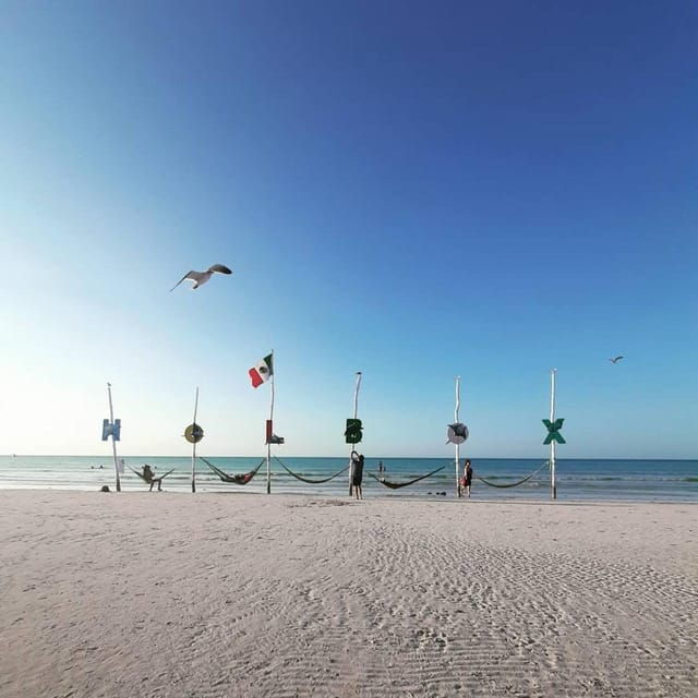 Cancun: Holbox Ferry + Punta Mosquito - Activity Itinerary