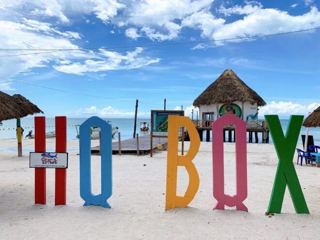 Cancun: Holbox Island, Punta Mosquito Day Trip With Lunch - Customer Feedback and Restrictions