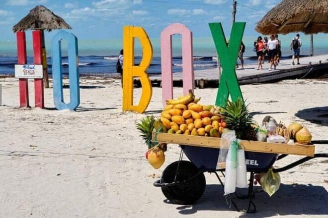 Cancun: Holbox Island, Punta Mosquito Day Trip With Lunch - Highlights and Experiences