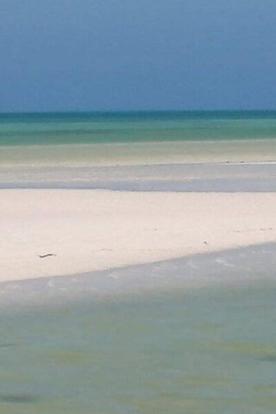 Cancun: Holbox Island, Punta Mosquito Day Trip With Lunch - Frequently Asked Questions