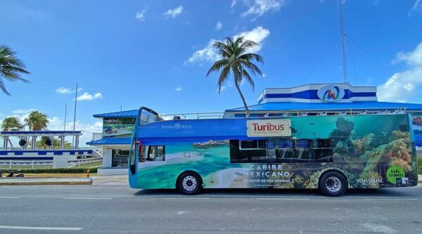 Cancun: Hop-on Hop-off Sightseeing Bus Tour and Attractions - Discover Ripleys Museum