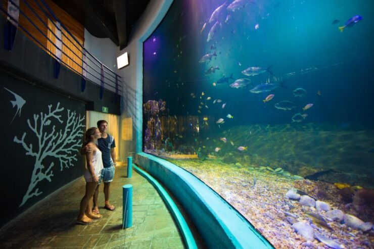 Cancún: Interactive Aquarium Entrance Ticket - Interactive Experience