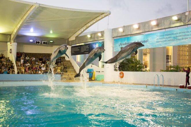 Cancún: Interactive Aquarium Entry With Dolphin Presentation - Unique Exhibits and Attractions