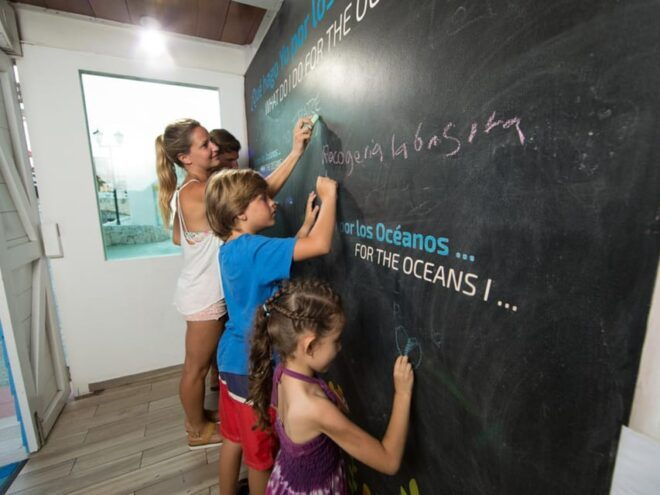 Cancún: Interactive Aquarium Entry With Dolphin Presentation - Aquarium Location and Accessibility