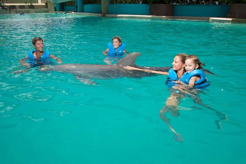 Cancun: Interactive Aquarium - Swim with dolphins Premium - Good To Know