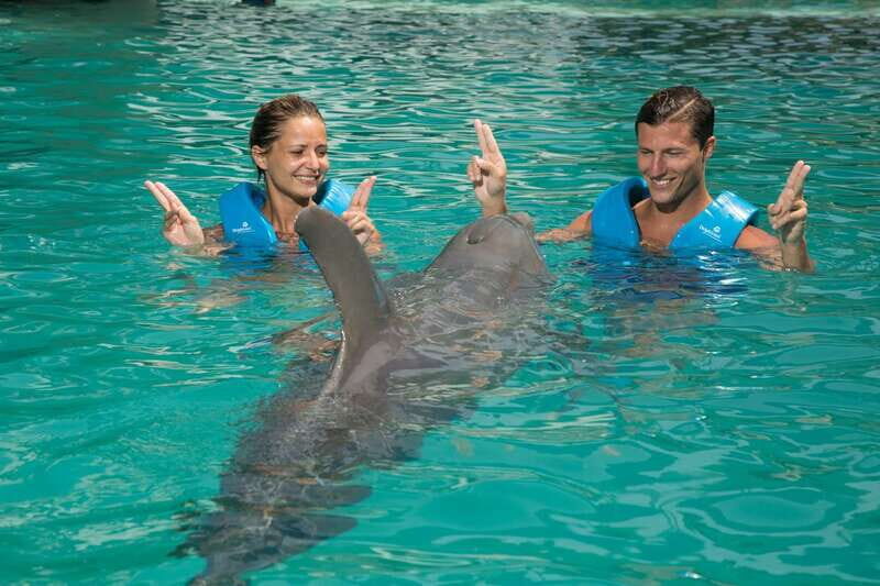 Cancun: Interactive Aquarium - Swim with dolphins Premium - Final Thoughts
