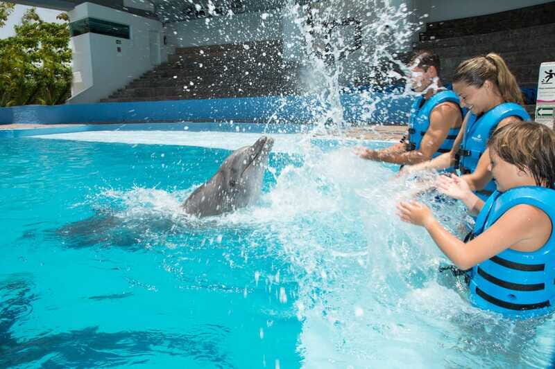 Cancun: Interactive Aquarium - Swim with Dolphins Splash - Who Should Consider This Tour?