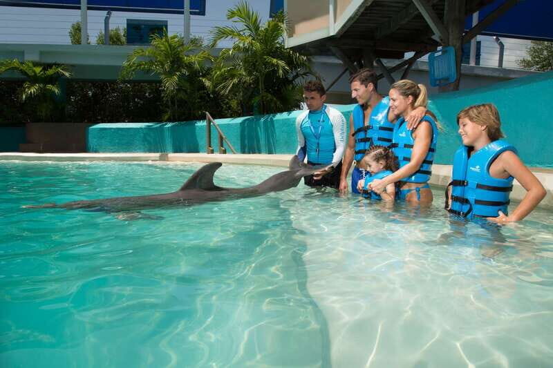 Cancun: Interactive Aquarium Ticket and Swim with Dolphins - Good To Know  