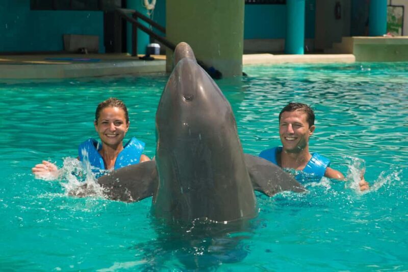 Cancun: Interactive Aquarium Ticket and Swim with Dolphins - The Sum Up
