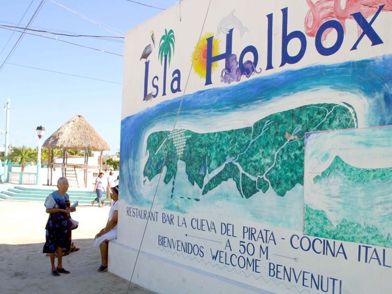 Cancún Isla Holbox & Yalahau Lagoon Full-Day Tour - The road from Cancún sets the pace