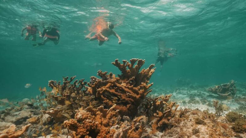 Cancun: Isla Mujeres Adults Only Party Catamaran with Drinks - Good To Know