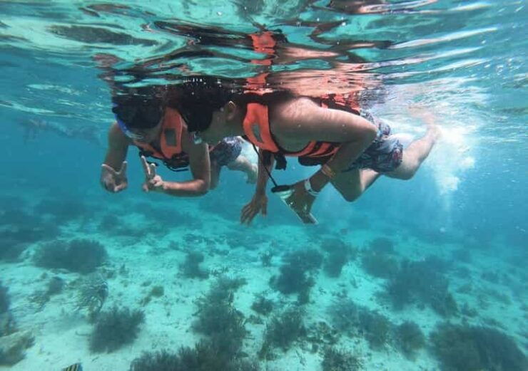 Cancun: Isla Mujeres Catamaran Cruise With Snorkel and Lunch - Good To Know