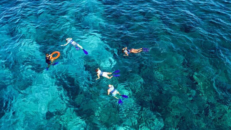 Cancun: Isla Mujeres Catamaran Ride, Open Bar & Buffet Lunch - Who This Tour Is Perfect For