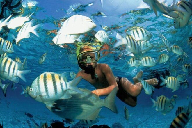 Cancún: Isla Mujeres Catamaran Sail, Snorkel & Dolphin Swim - Inclusions