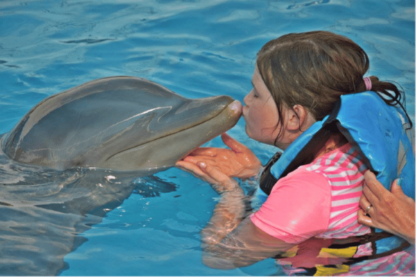 Cancún: Isla Mujeres Catamaran Sail, Snorkel & Dolphin Swim - Catamaran Sail to Isla Mujeres