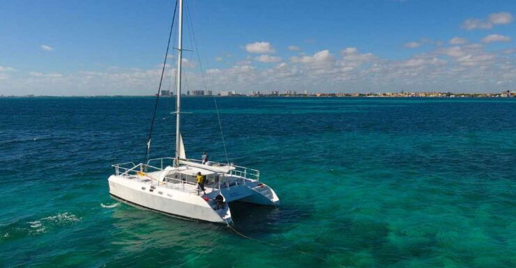 Cancún: Isla Mujeres Catamaran Tour & Swim With Dolphins - Experience