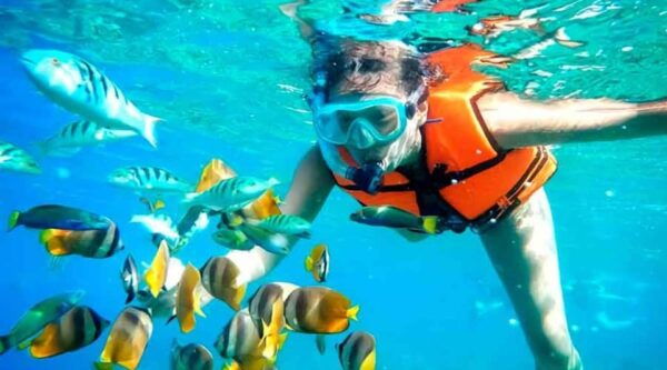 Cancún: Isla Mujeres Catamaran Tour With Maya Travel - Relax on a Private Beach