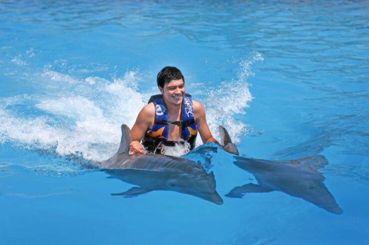 Cancún: Isla Mujeres Sea Life Encounter Program With Buffet - Experience Highlights