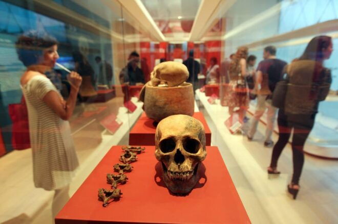 Cancun Island & Shopping Tour - Cultural Experiences