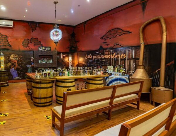 Cancun Island & Shopping Tour - Pickup and Drop-off Locations