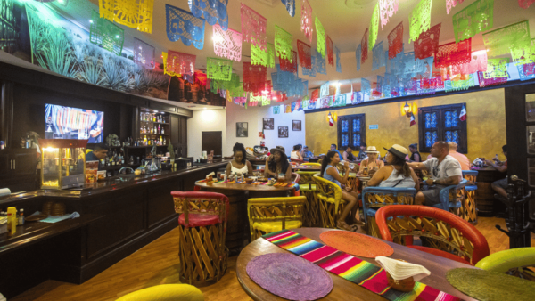 Cancun Island & Shopping Tour - Mexican History and Culture