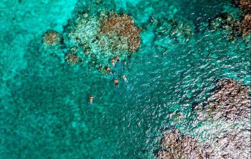 Cancun: Jungle Tour Adventure with Speedboat and Snorkeling - Final Thoughts: Is This Tour Right for You?