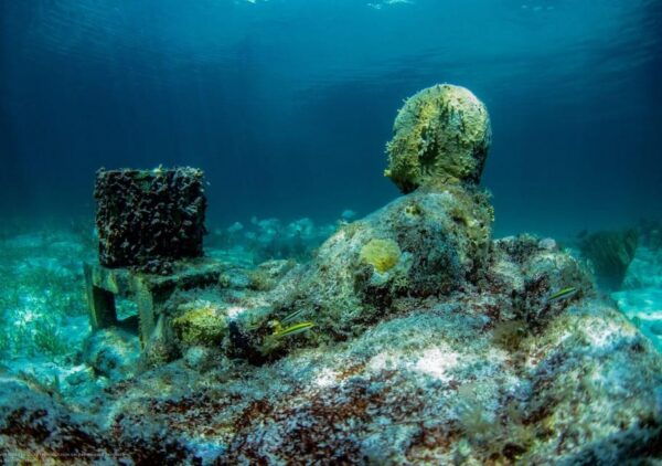 Cancun: Jungle Tour Speedboat and Snorkel Tour - Frequently Asked Questions