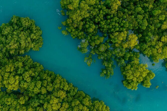 Cancun Jungle Tour with Speedboat and Snorkeling - FAQ