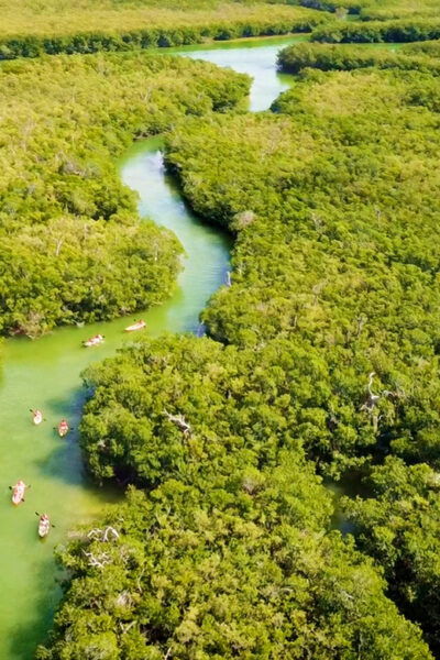 Cancun: Kayak Adventure at Cancun! Nichupte Lagoon Mangrove - Frequently Asked Questions