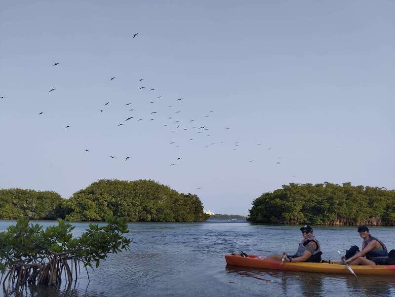 Cancun: Kayaking Tour in Nichupte Lagoon - Who Should Book This Tour?