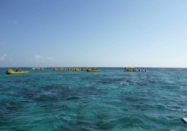Cancun: Laguna Nichupte Speedboat Snorkeling Tour - Frequently Asked Questions