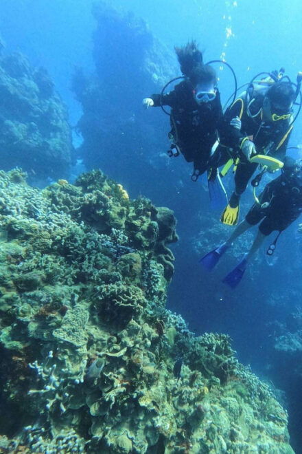 Cancun: Lionfish Expedition Package - Booking Flexibility