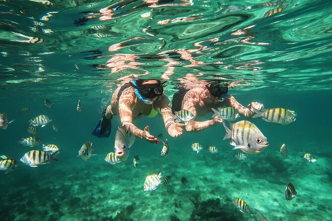 Cancun Luxury Sailing & Snorkeling With Lunch and Open Bar Onboard - Common Questions