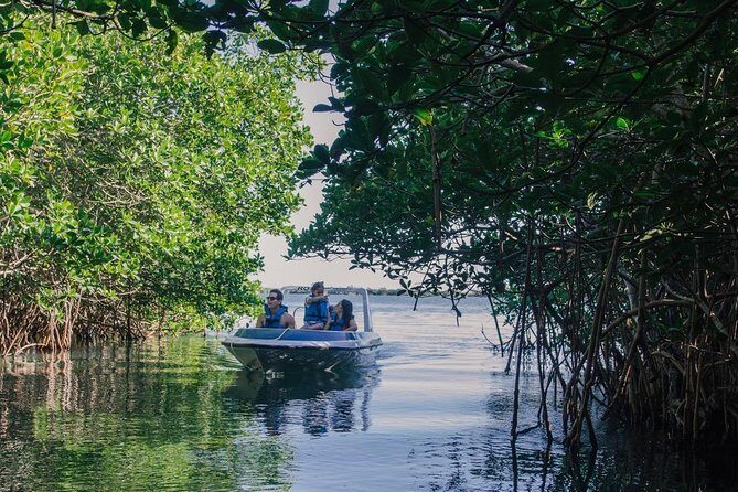Cancun Mangrove Channel Adventure with Transportation - Good To Know