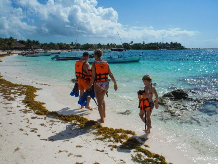 Cancun: Marine Turtle Observation in Akumal - Booking Information