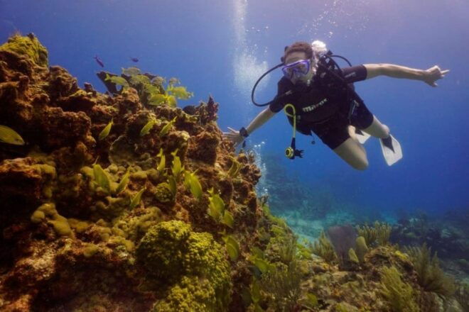 Cancun: MUSA Diving Experience - Customer Reviews and Feedback