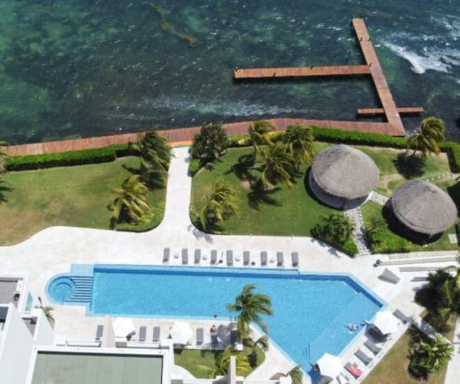 Cancun: Musa Underwater Museum and Reef Scuba Diving Tour - Customer Reviews