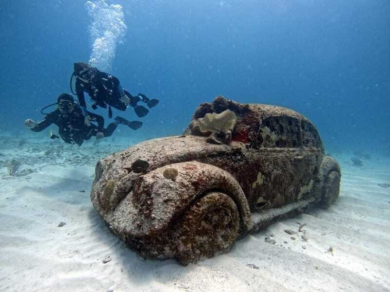 Cancun: Musa Underwater Museum & Reef Discover Scuba Diving - Marine Life and Underwater Art