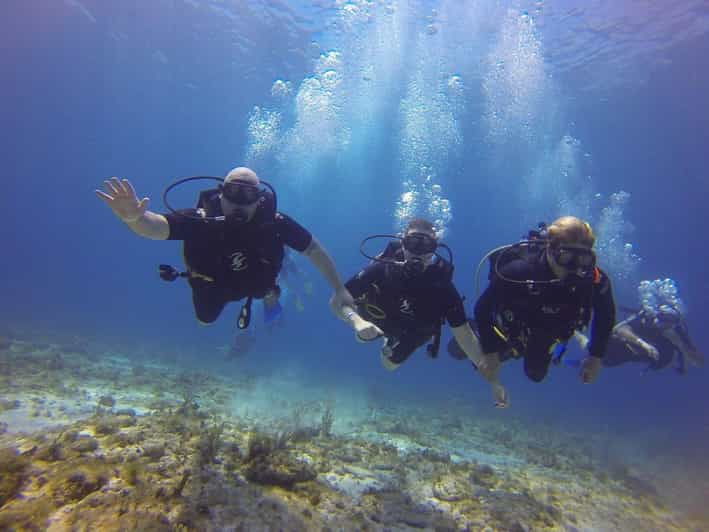 Cancun: Open Water Diver Course - Pricing and Booking