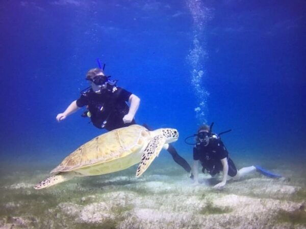 Cancun: Open Water Diver Course - Water and Lunch