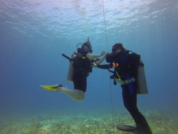 Cancun: Open Water Diver Course - Frequently Asked Questions